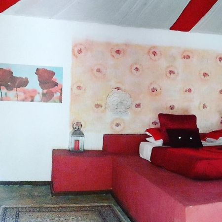 Gecko Nature Lodge Home Of Swahili Divers The Best Dive Center And Famous Gecko Restaurant Verani Extérieur photo