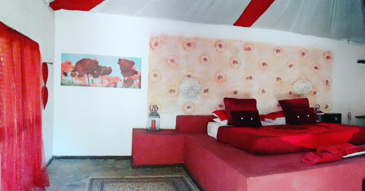 Gecko Nature Lodge Home Of Swahili Divers The Best Dive Center And Famous Gecko Restaurant Verani Extérieur photo