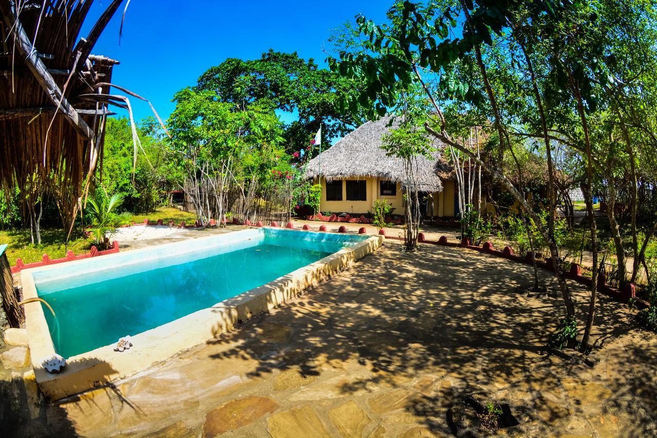 Gecko Nature Lodge Home Of Swahili Divers The Best Dive Center And Famous Gecko Restaurant Verani Extérieur photo