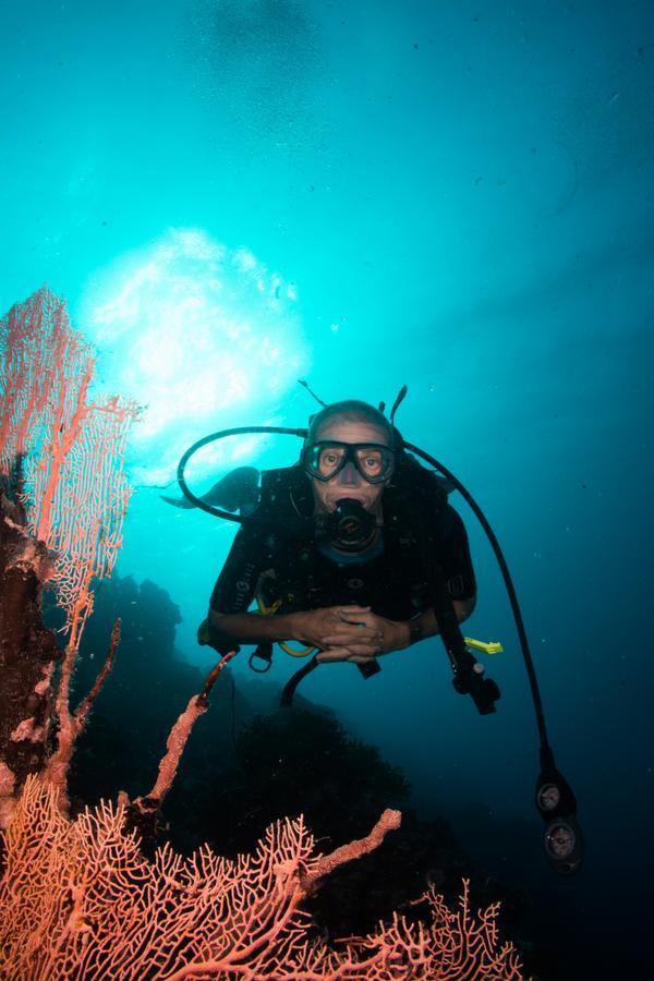 Gecko Nature Lodge Home Of Swahili Divers The Best Dive Center And Famous Gecko Restaurant Verani Extérieur photo