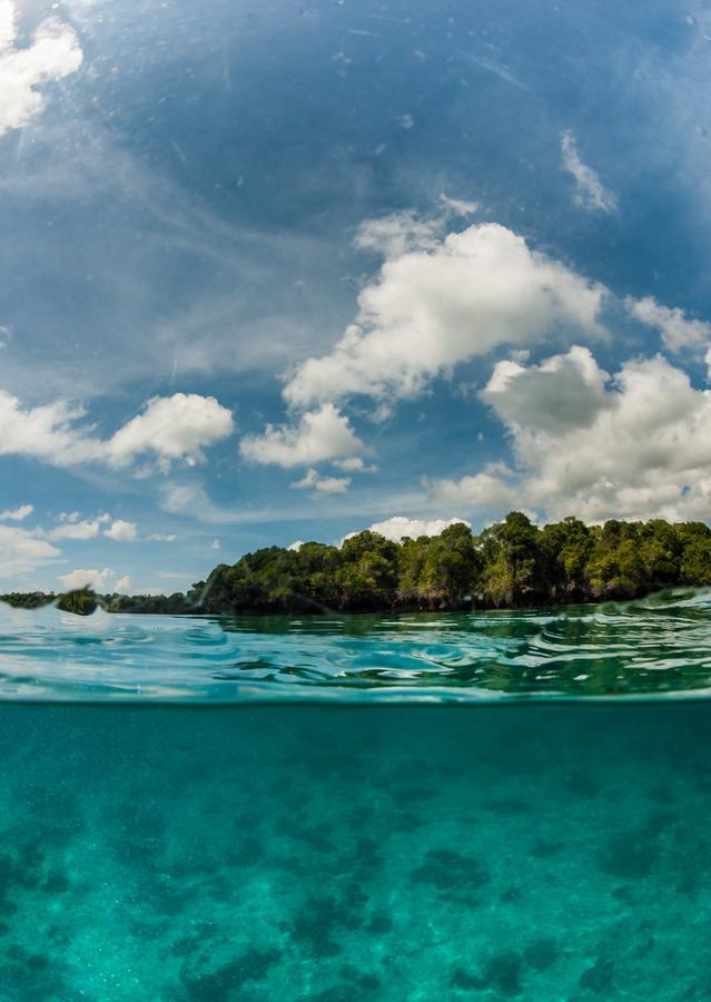 Gecko Nature Lodge Home Of Swahili Divers The Best Dive Center And Famous Gecko Restaurant Verani Extérieur photo