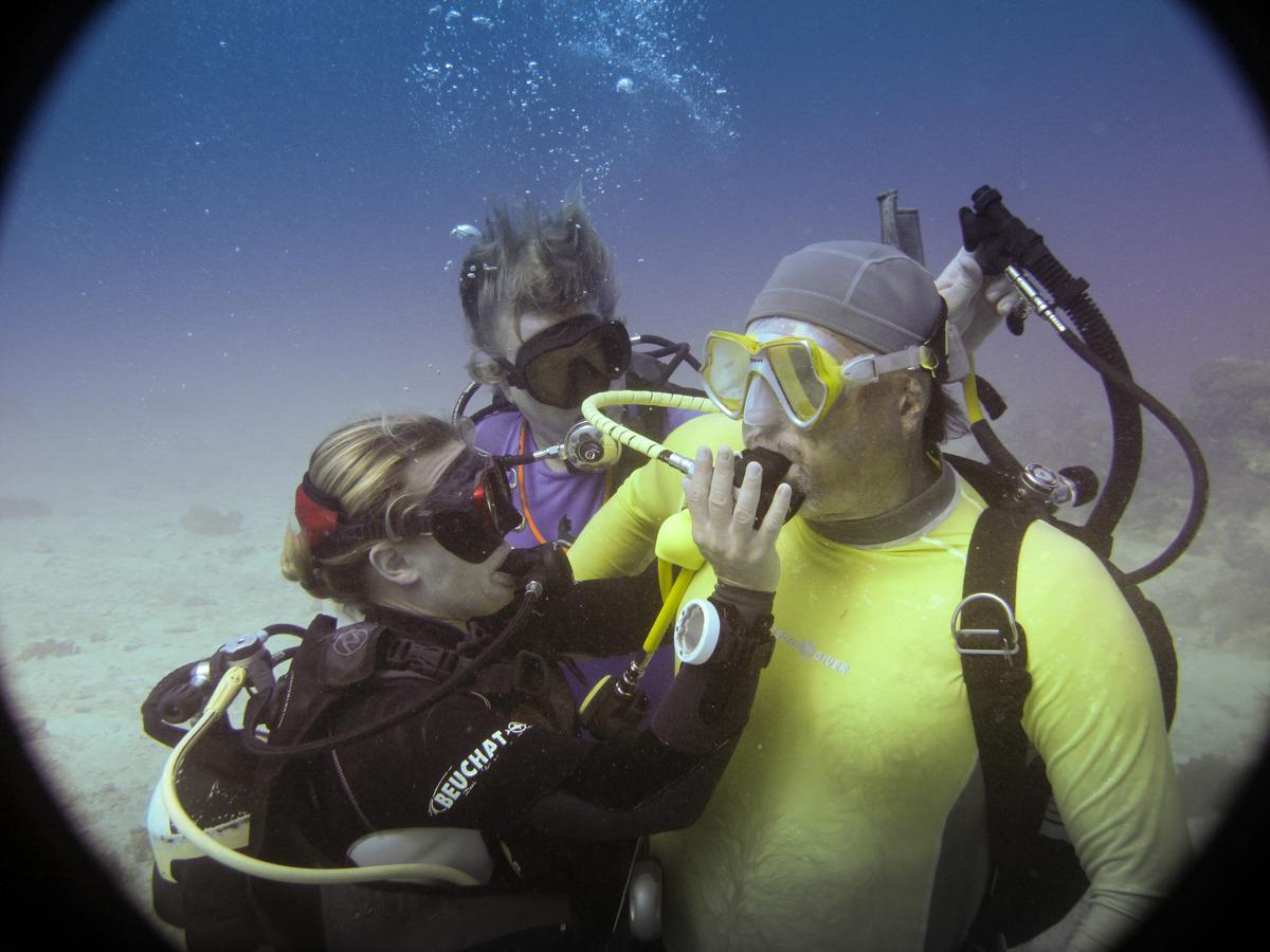 Gecko Nature Lodge Home Of Swahili Divers The Best Dive Center And Famous Gecko Restaurant Verani Extérieur photo