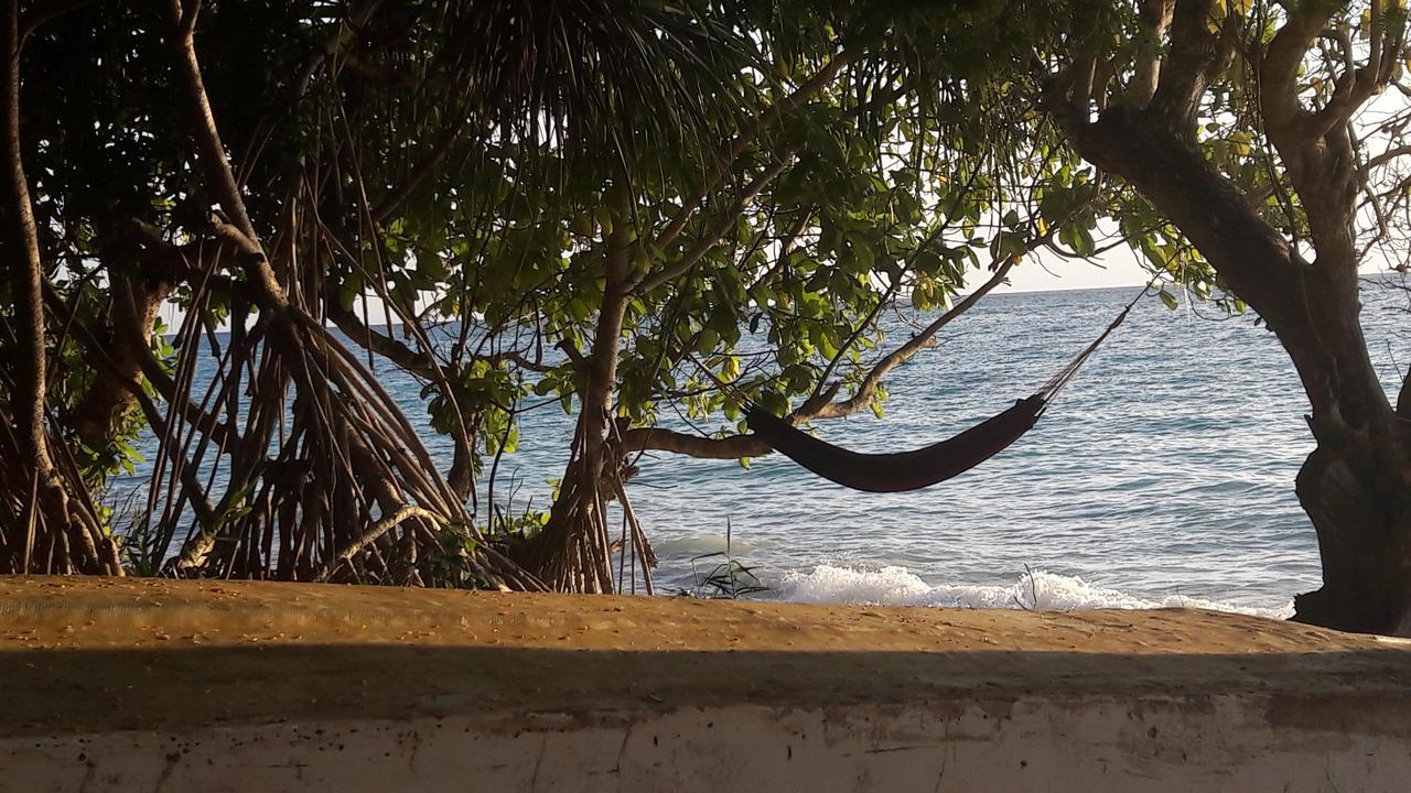 Gecko Nature Lodge Home Of Swahili Divers The Best Dive Center And Famous Gecko Restaurant Verani Extérieur photo
