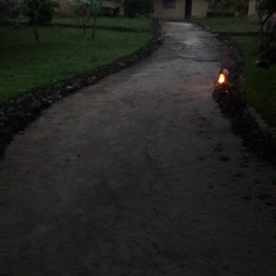 Gecko Nature Lodge Home Of Swahili Divers The Best Dive Center And Famous Gecko Restaurant Verani Extérieur photo