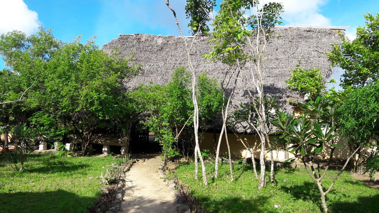 Gecko Nature Lodge Home Of Swahili Divers The Best Dive Center And Famous Gecko Restaurant Verani Extérieur photo