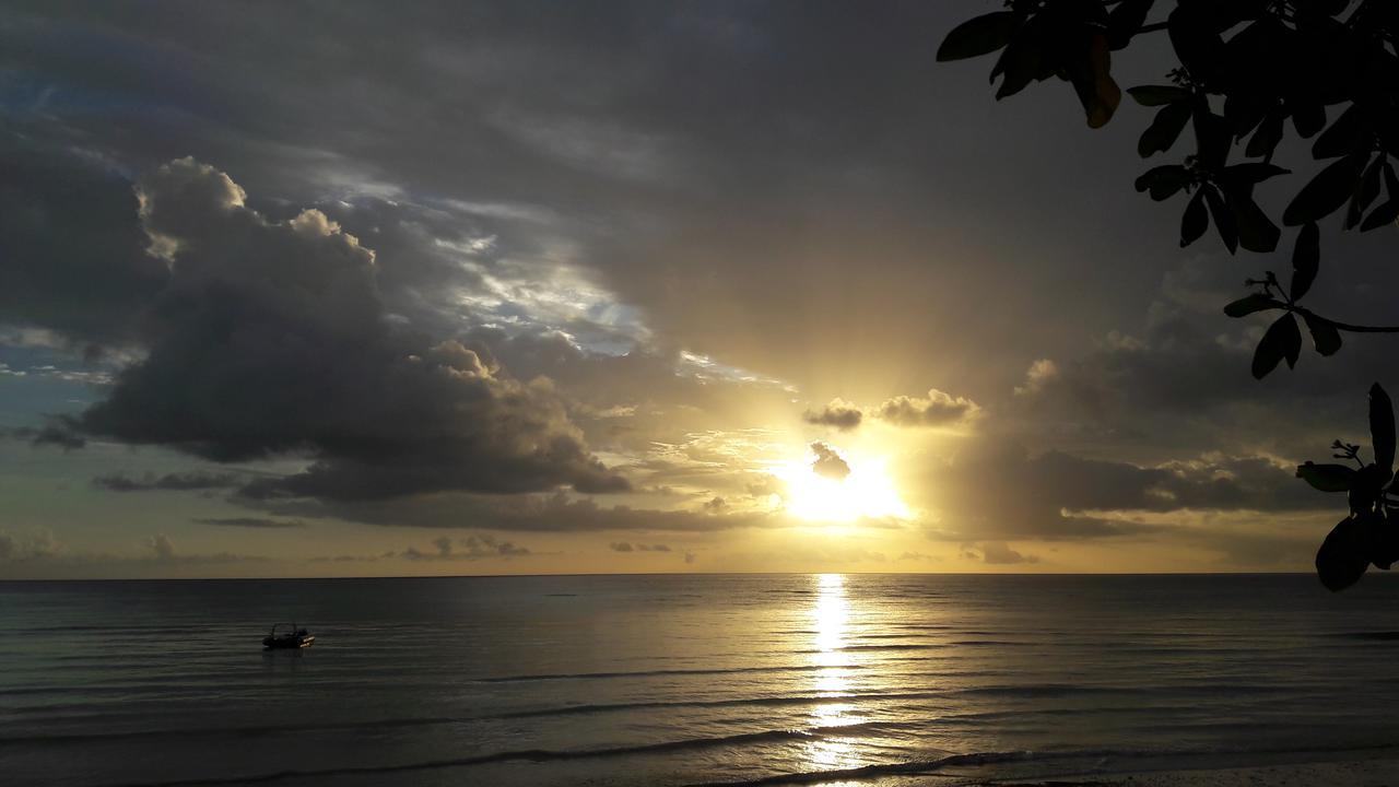 Gecko Nature Lodge Home Of Swahili Divers The Best Dive Center And Famous Gecko Restaurant Verani Extérieur photo