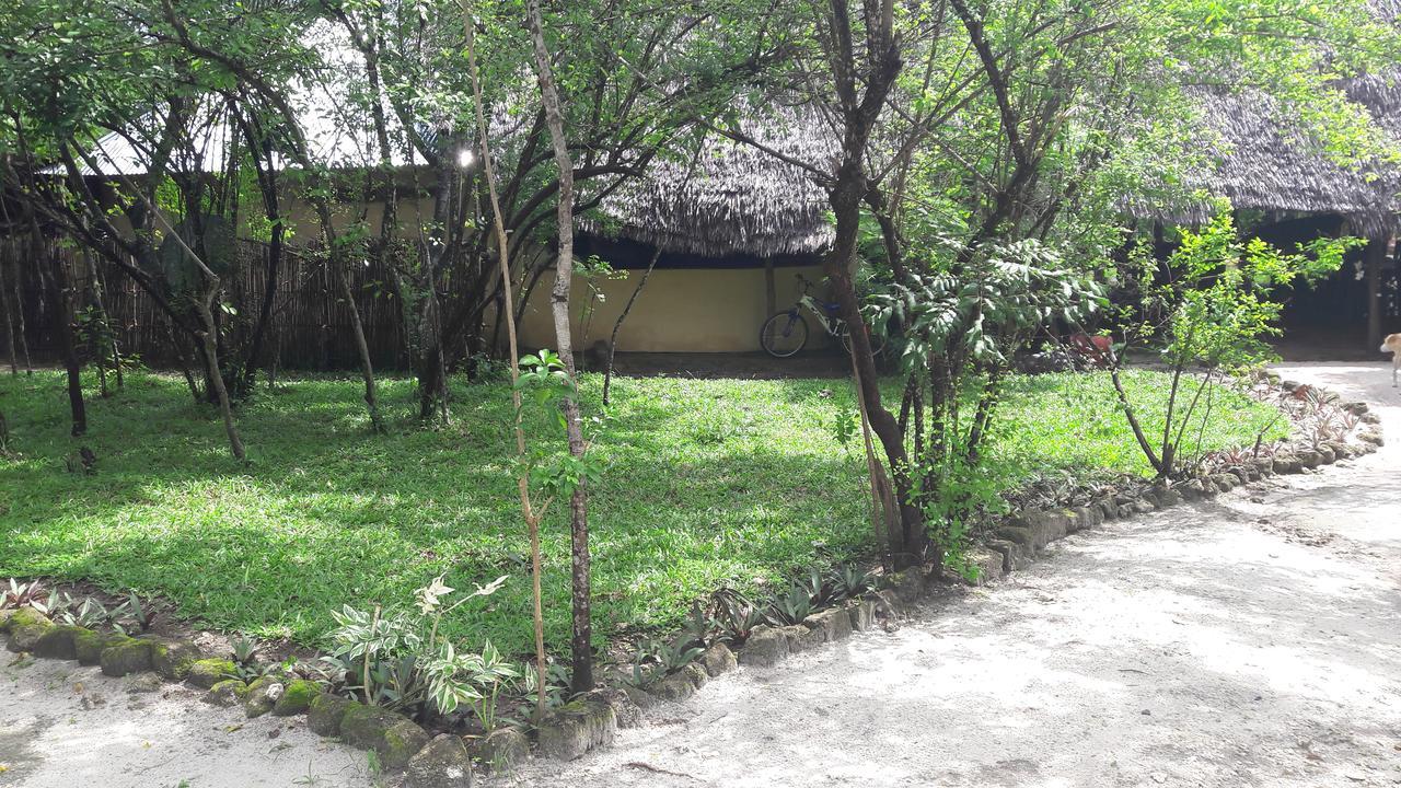 Gecko Nature Lodge Home Of Swahili Divers The Best Dive Center And Famous Gecko Restaurant Verani Extérieur photo