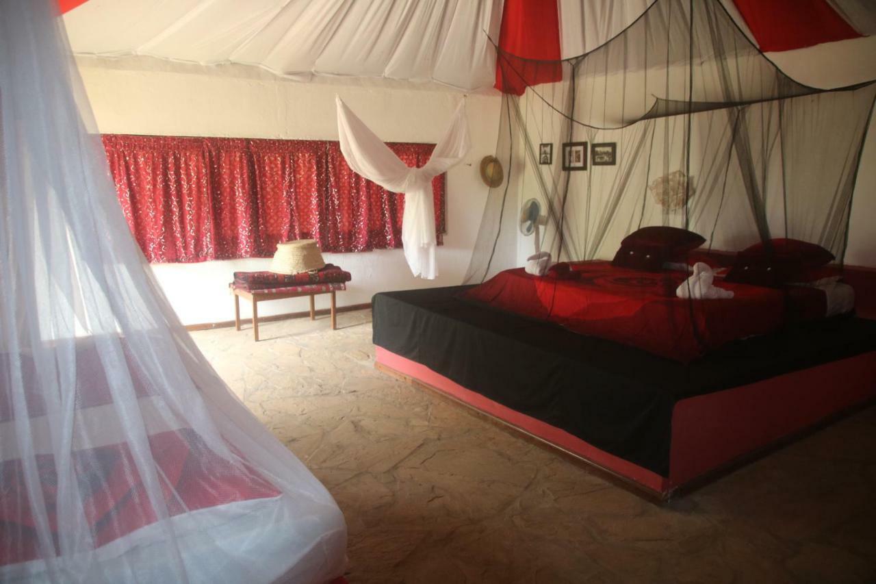 Gecko Nature Lodge Home Of Swahili Divers The Best Dive Center And Famous Gecko Restaurant Verani Extérieur photo